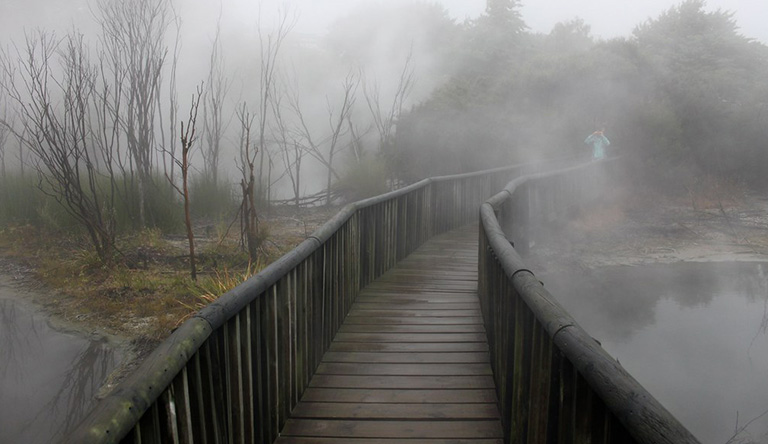 kuirau-park-rotorua-new-zealand